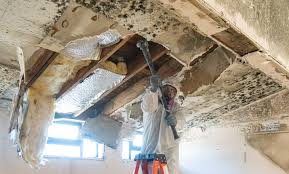 Best Water Damage & Mold Remediation in Millen, GA